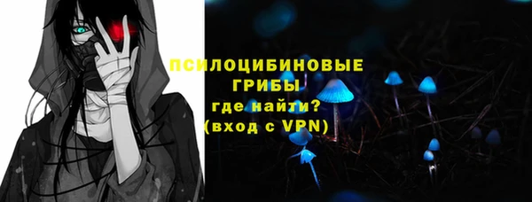 прущие крисы Богородицк