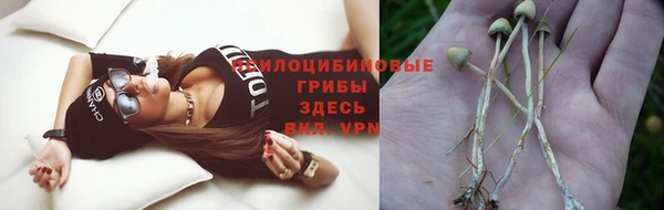 прущие крисы Богородицк