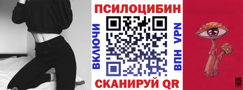 Псилоцибиновые грибы Psilocybe  закладки  Тюмень 
